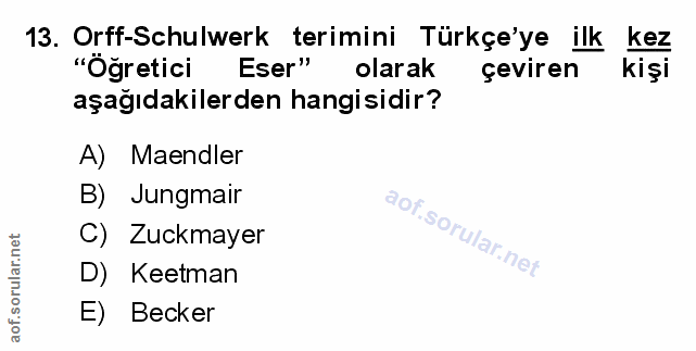 Soru 13