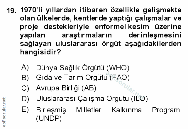 Soru 19