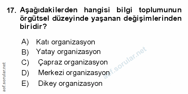 Soru 17