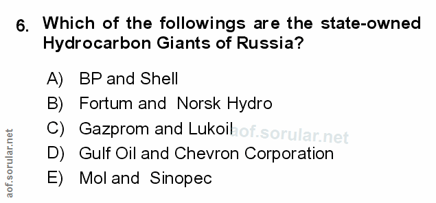 Soru 6