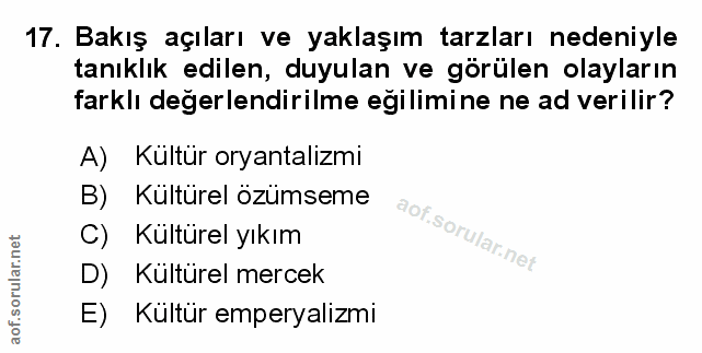 Soru 17