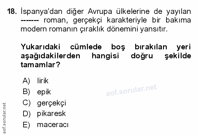 Soru 18