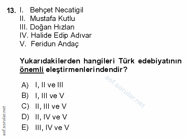 Soru 13