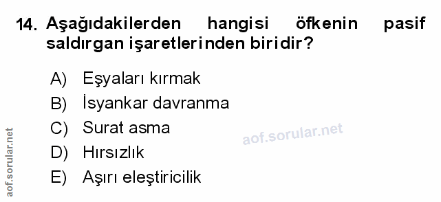 Soru 14