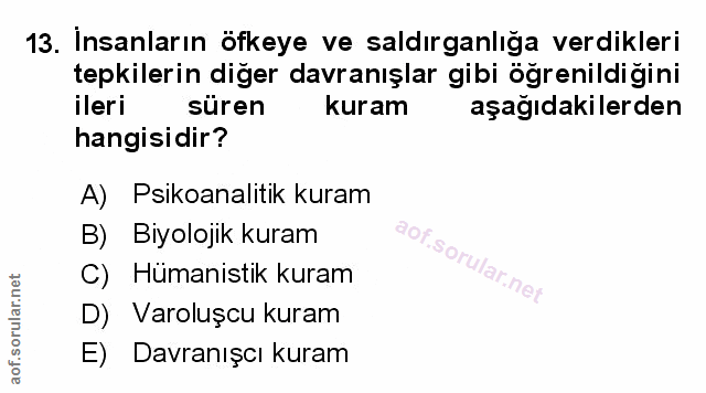 Soru 13