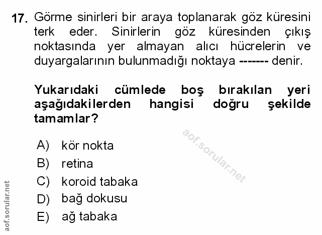 Soru 17