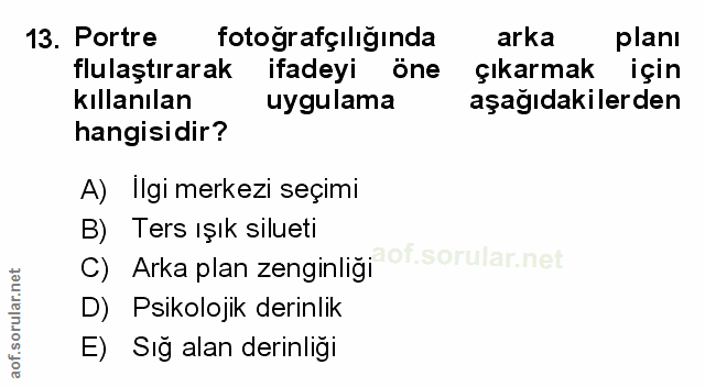 Soru 13