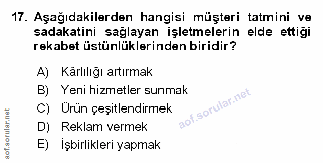 Soru 17