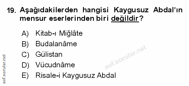 Soru 19