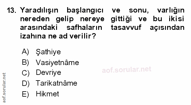 Soru 13
