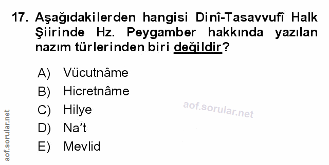 Soru 17