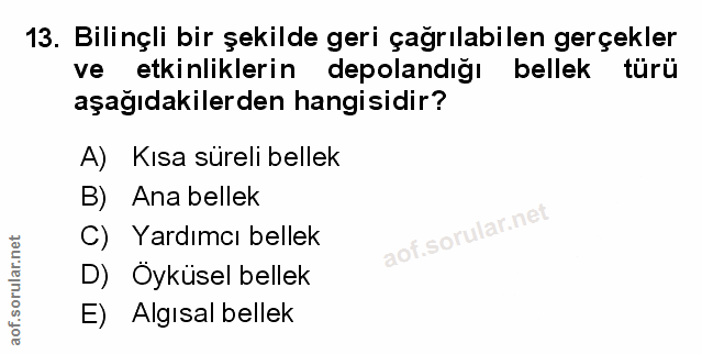 Soru 13