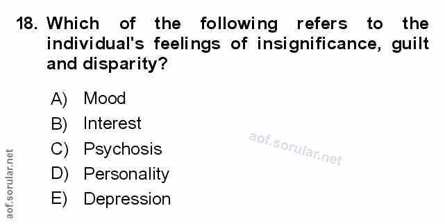 Soru 18