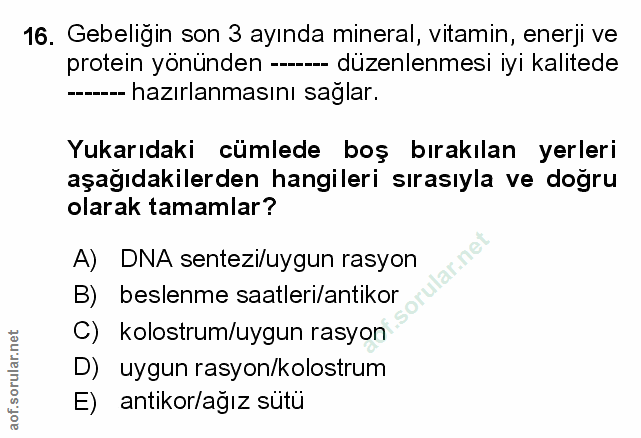Soru 16