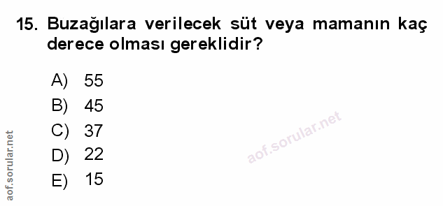 Soru 15