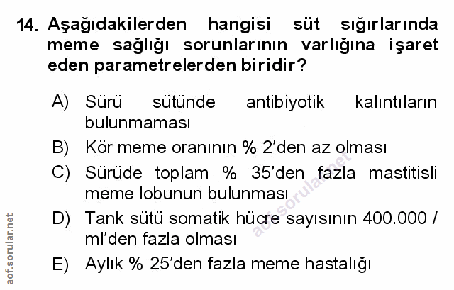Soru 14