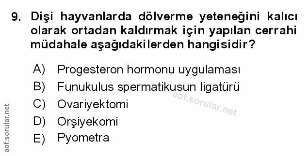 Soru 9