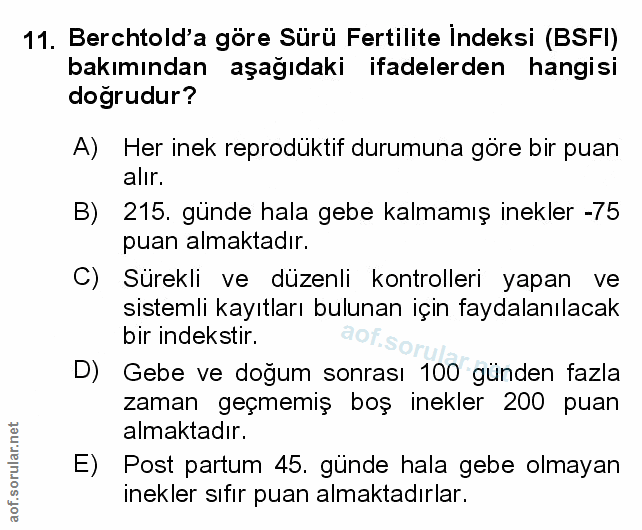 Soru 11