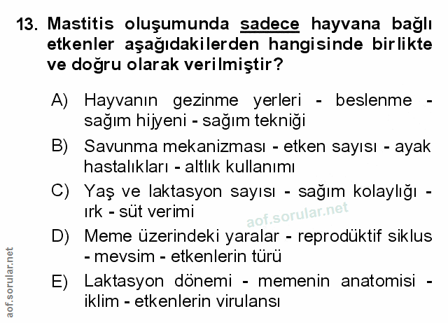 Soru 13