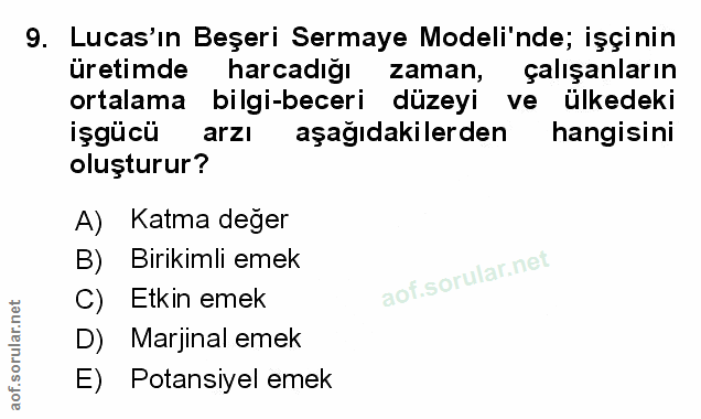 Soru 9