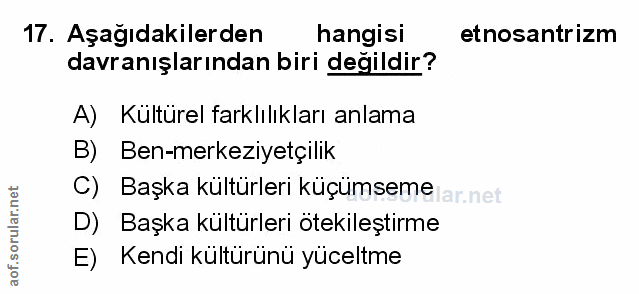 Soru 17
