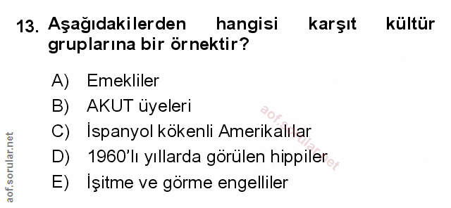 Soru 13