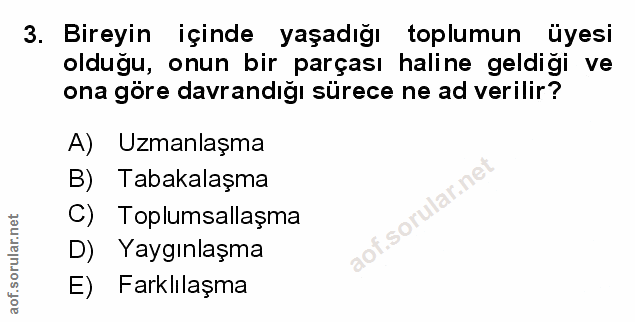 Soru 3