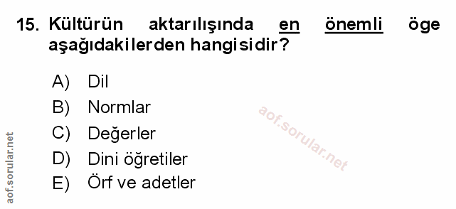 Soru 15
