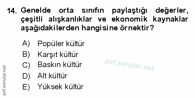 Soru 14