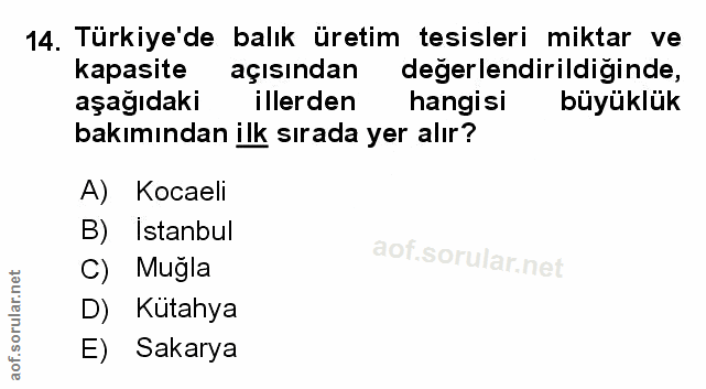 Soru 14