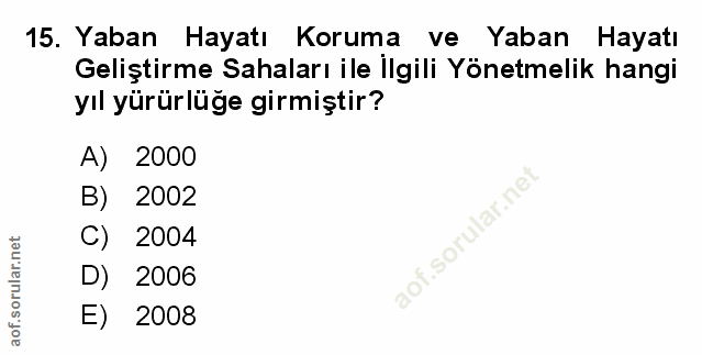 Soru 15