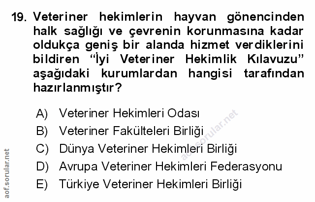 Soru 19