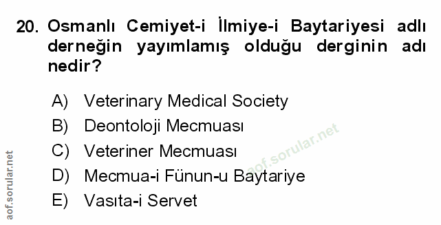 Soru 20