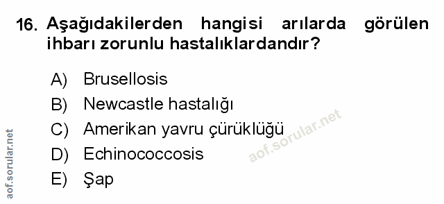 Soru 16