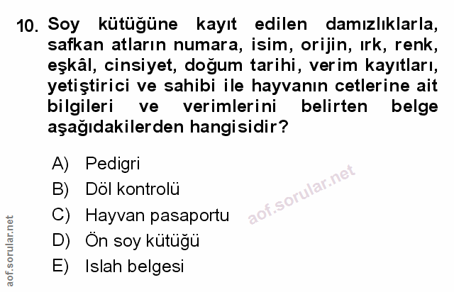 Soru 10