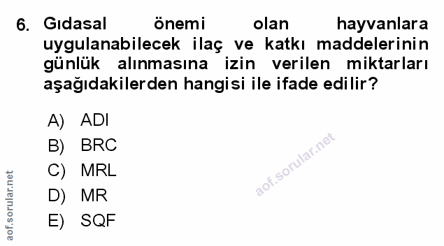 Soru 6