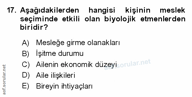 Soru 17
