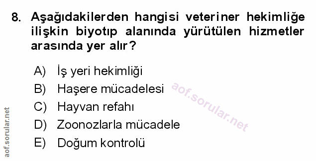 Soru 8