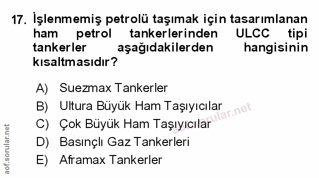 Soru 17