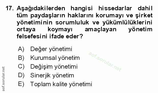 Soru 17