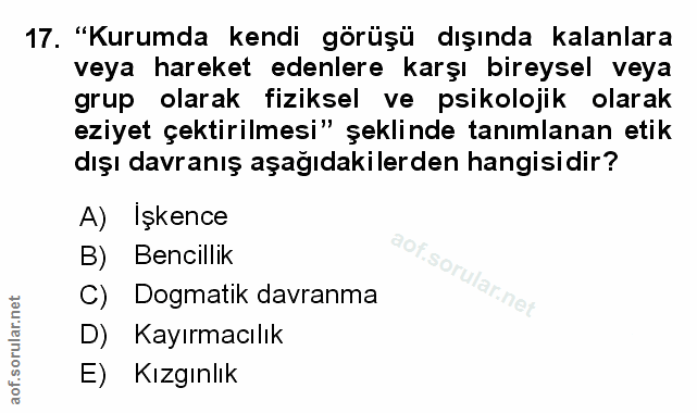Soru 17