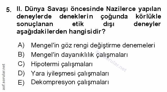 Soru 5