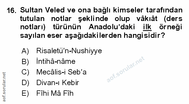 Soru 16