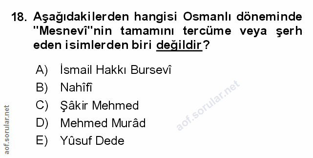 Soru 18