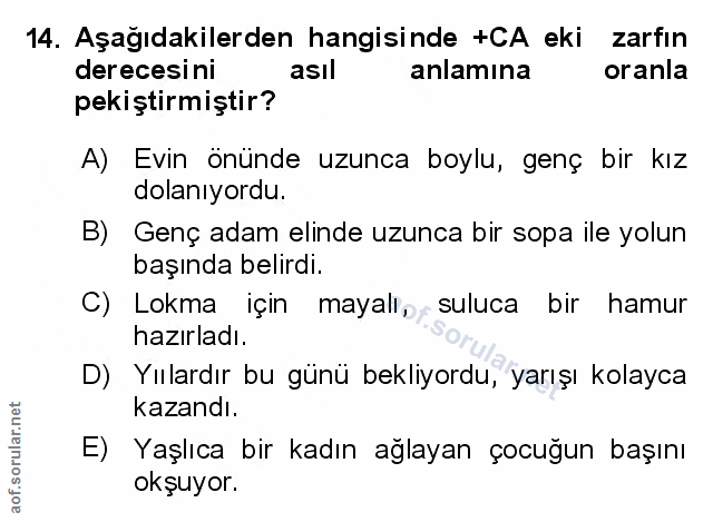 Soru 14