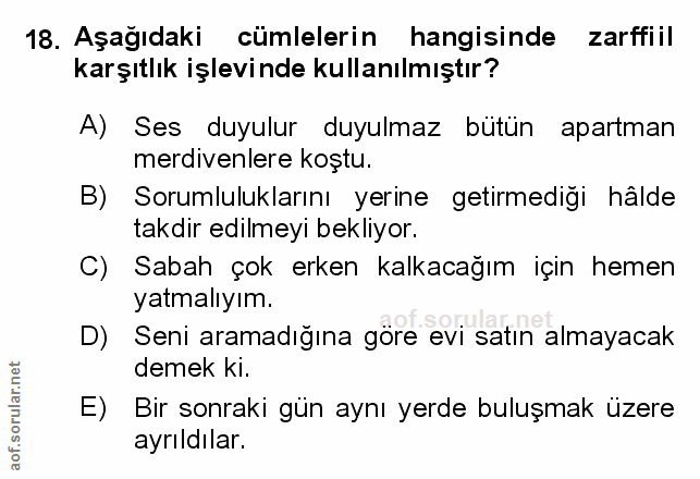 Soru 18