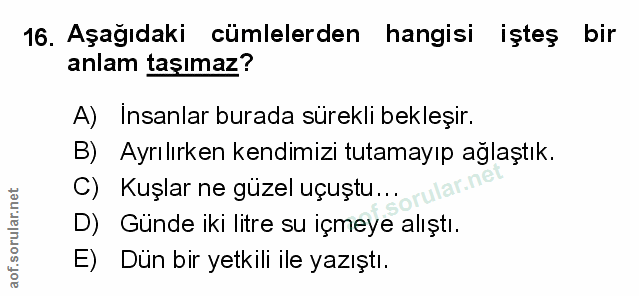 Soru 16
