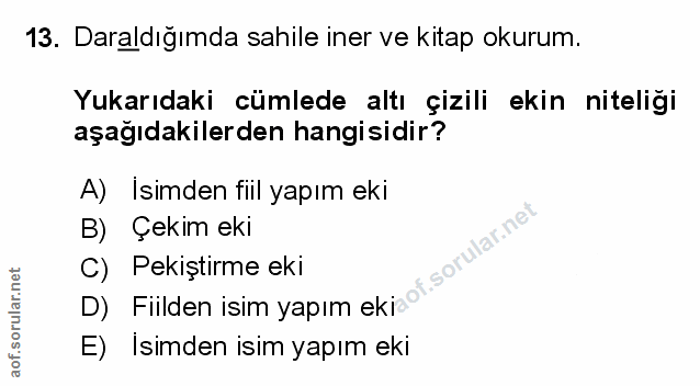 Soru 13
