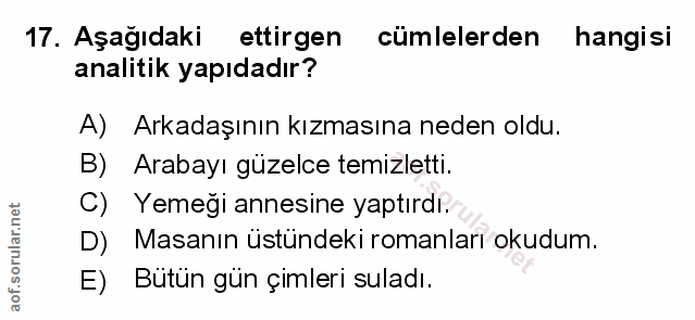 Soru 17