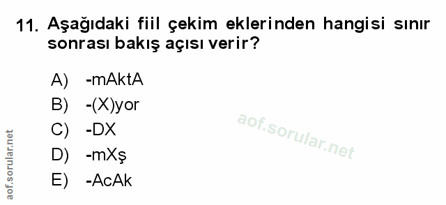 Soru 11